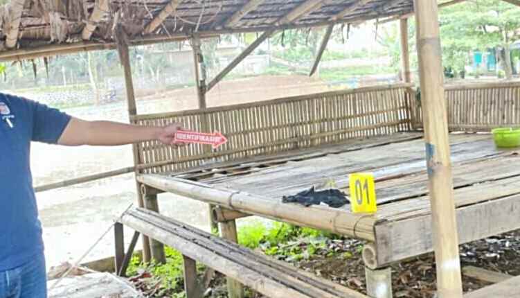 Taka Mampu Tahan Nafsu Karena Lama Menduda, Pria di Bogor Setubuhi Siswi SMP di Kebun Sawit